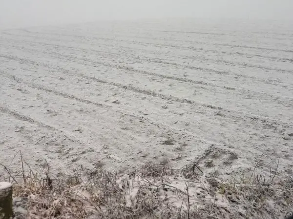 ▲今年的冬天特別長，三月中旬卻還有寒流，山上的作物都受到不小的影響，攝於新光部落。（圖／馬偕紀念醫院）