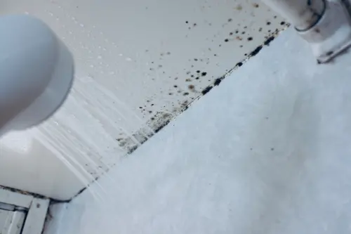 浴室清潔別用熱水！黴菌瘋長、超難刷　譚敦慈曝光「1除黴妙招」
