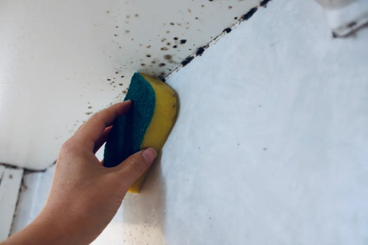 ▲浴室天花板發霉是許多家庭苦惱的問題之一，就有內行人一招就把黴菌清乾淨，甚至只要5分鐘。（圖／取自PhotoAC）