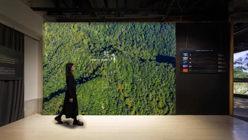 ▲在大眾及全家零錢捐善款支持下，齊柏林空間第六檔影像主題展《共森》， 21 日國際森林日開展。（圖／主辦單位提供）