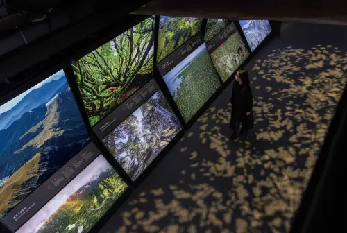 ▲本次展覽以「群森之源」、「森林之境」及「森野之續」為題，直視當代森林議題與困境，回顧台灣林業轉型的足跡，（圖／主辦單位提供）