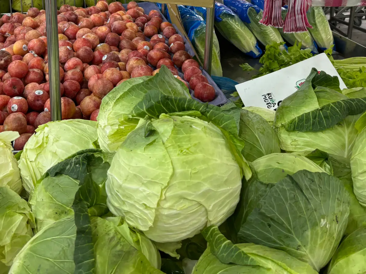 ▲高麗菜平均批發價每公斤6.2元，還是很便宜。除了炒高麗菜外，內行人分享客家阿嬤的過年大菜「高麗菜封」，一吃上癮。（圖／記者徐銘穗攝）