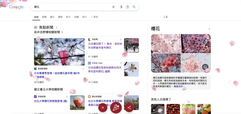▲Google首頁今為「櫻花」主題，點擊還會出現夢幻的櫻花瓣落下。（圖／螢幕截圖）