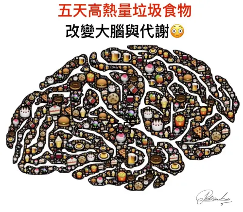 (圖/Dr.Le 李柏賢臉書) ▲(圖/Dr.Le 李柏賢臉書)