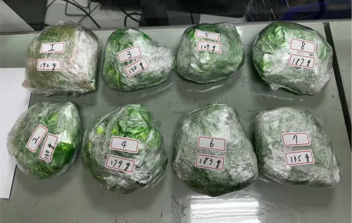 海運公司3名現、前任船員泰國走私600萬元毒品　橋檢起訴3人
