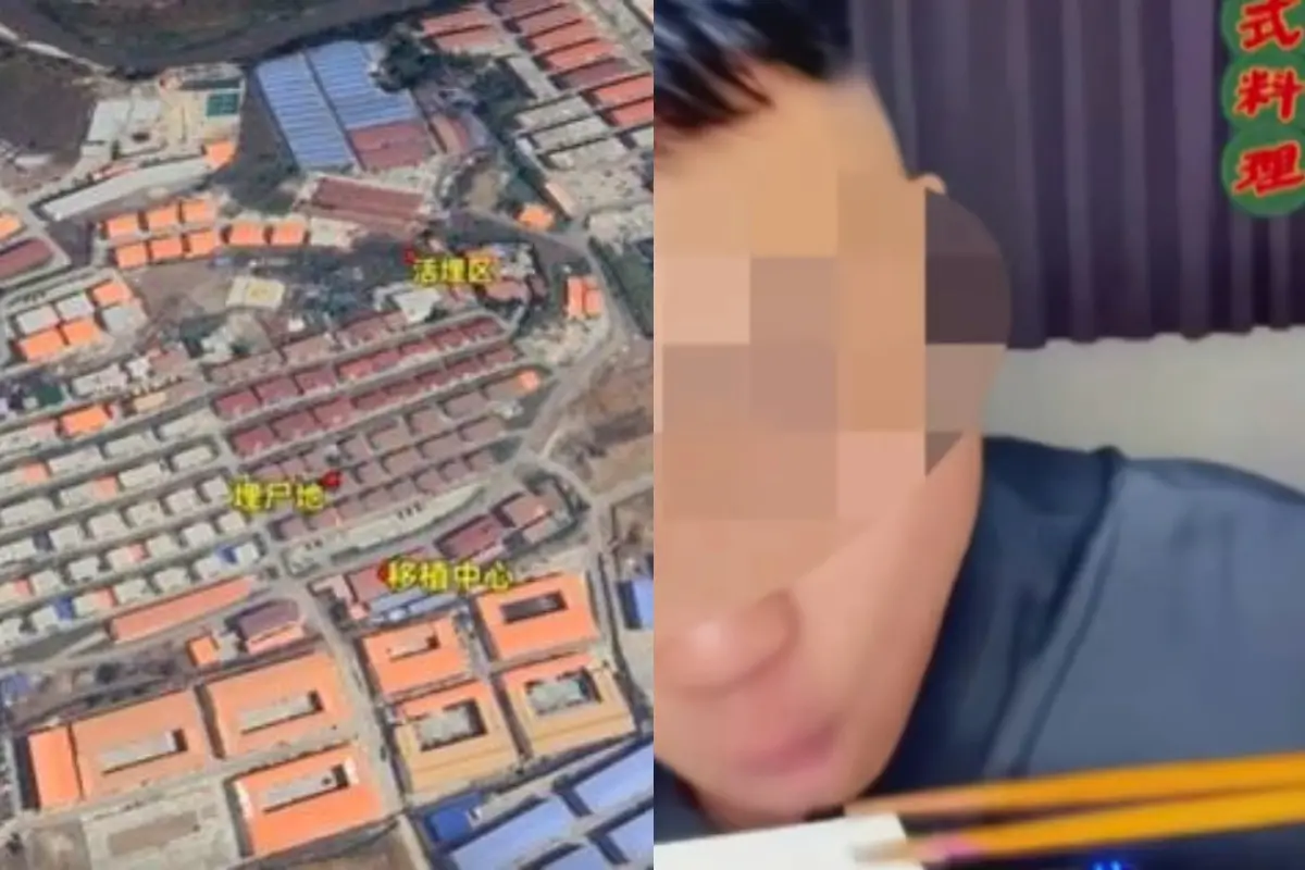 ▲一名擁有5萬名粉絲的台灣直播主被朋友以性招待當誘餌，被騙去緬甸並失聯半年。（圖／翻攝自影片）