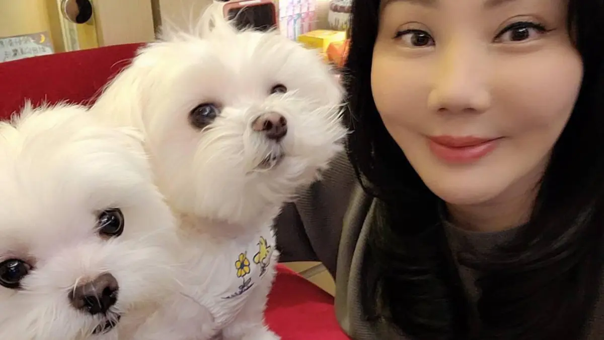 ▲命理師沈嶸至今捐款已累計達660萬元，她也怒轟那些隨意遺棄寵物的人，「這些惡業往後都將返回棄養者身上，不可不慎。」（圖／財團法人流浪動物之家基金會提供）