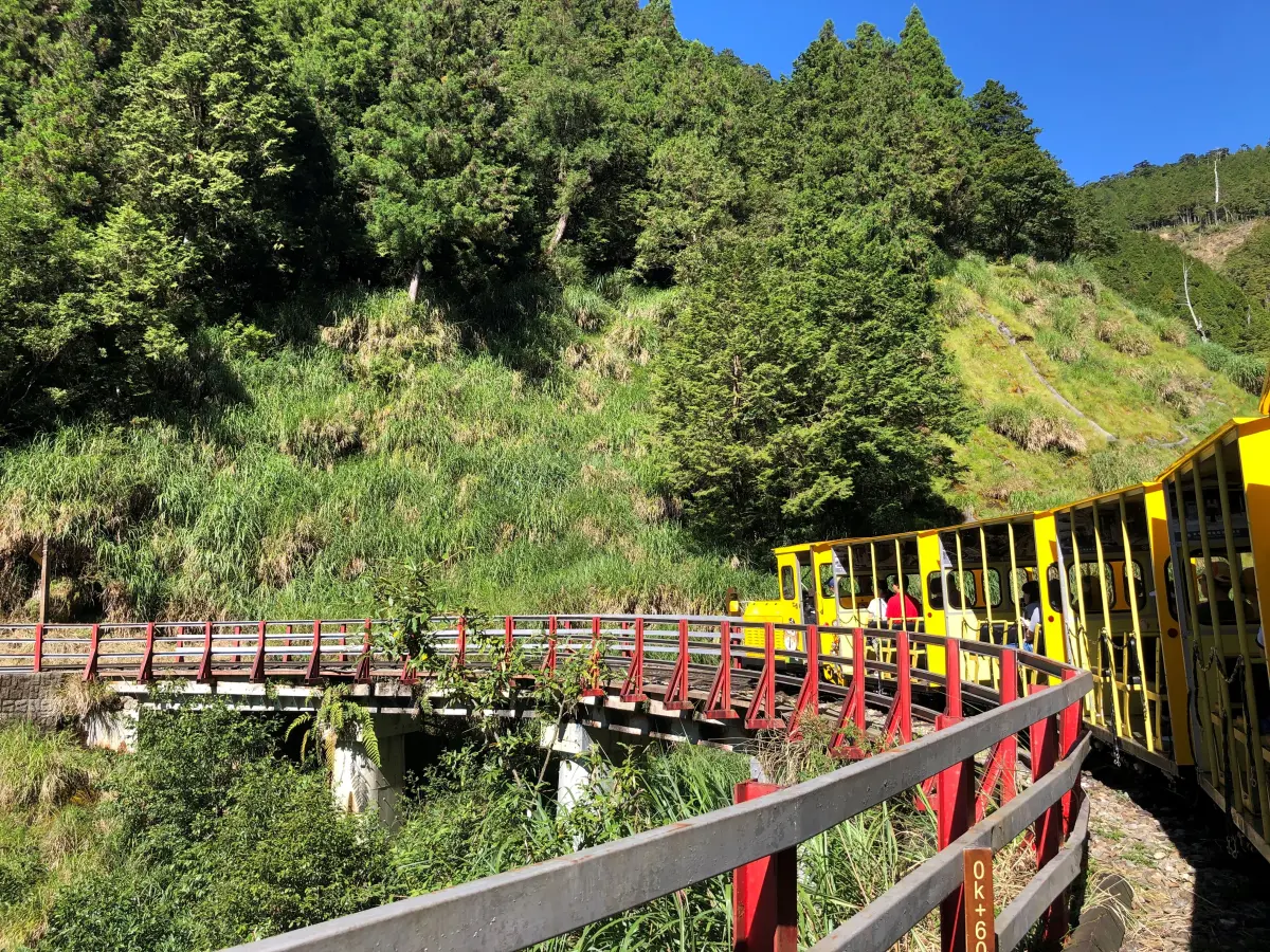 ▲太平山蹦蹦車。（圖／林業署提供）