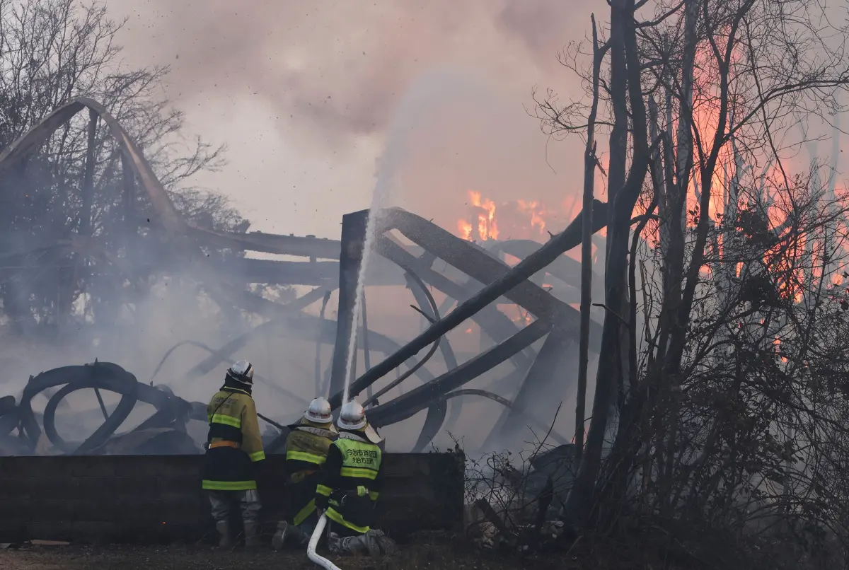 ▲日本愛媛縣與岡山縣森林大火持續蔓延。（圖／美聯社／達志影像）