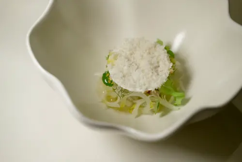 ▲「春茴墨魚白沙拉」用上了香氣清雅的茴香頭、茴香花等，襯托鮮甜的墨魚。（圖／記者葉盛耀攝）
