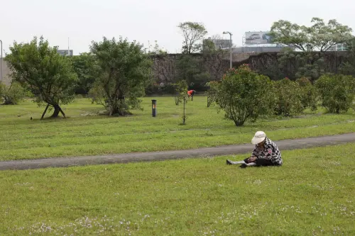▲其每當春季雨後,來公園「採藥」的民眾比平常多了2倍。(圖/臺北市工務局衛生下水道工程處提供) ▲其每當春季雨後,來公園「採藥」的民眾比平常多了2倍。(圖/臺北市工務局衛生下水道工程處提供)