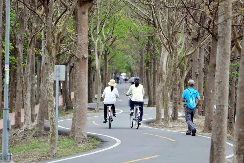 ▲潭雅神綠園道打卡景點S彎道(圖／觀旅局提供2025.3.27)