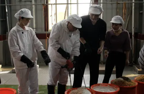 ▲曹雅雯（左一）攪拌菜頭粿到手軟，邰智源（左二）立刻接手，展現健身的成果，操作非常穩定。（圖／公視台語台提供）