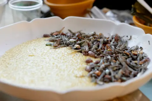 ▲Akame今天的10週年餐會之菜色，包含了小魚乾小米粥。（圖／記者葉盛耀攝）