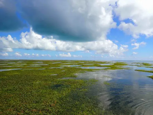 ▲ 東沙環礁國家公園為全台首座海洋型國家公園，同時也是藍碳種源庫與復育基地。（圖／國家公園署）