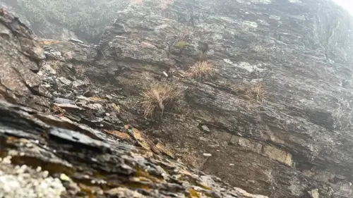 ▲(圖/氣象署提供) ▲(圖/氣象署提供)