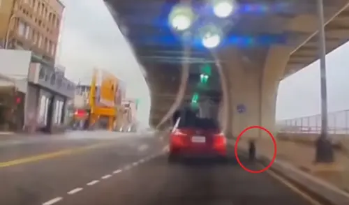 遭狠心飼主丟包 小黑狗快車道狂追!網友拳頭硬了:棄家人遭天譴 ▲綠燈後主人猛踩油門離去,被丟包的小黑狗在後追車。(圖/翻攝網路,2025.03.01)