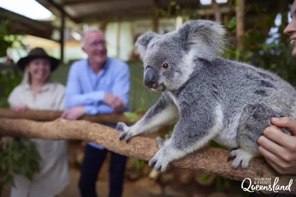 ▲近年來，台灣許多企業獎勵旅遊選擇前往澳洲昆士蘭，每年吸引數百人甚至上千人的獎旅團。（圖／昆士蘭州旅遊及活動推廣局提供）