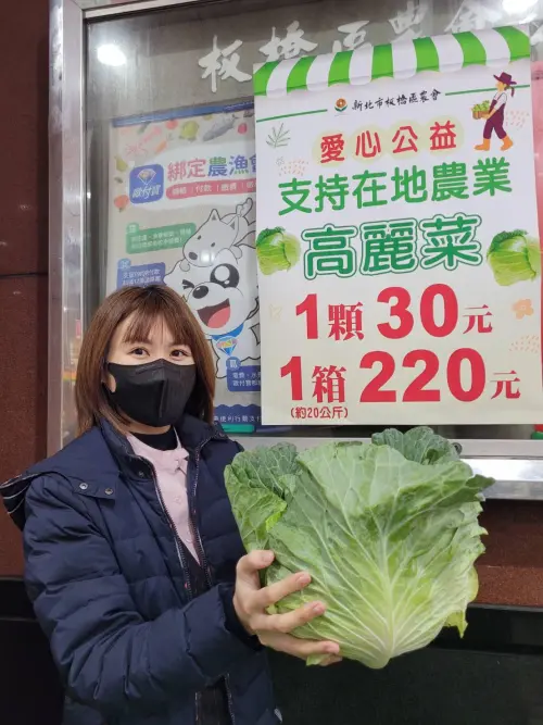 ▲新北板橋區農會4月1日起高麗菜1顆30元,每日9點到下點,一路到售完為止幫菜農紓解銷售壓力。(圖/板橋區農會臉書) ▲新北板橋區農會4月1日起高麗菜1顆30元,每日9點到下點,一路到售完為止幫菜農紓解銷售壓力。(圖/板橋區農會臉書)