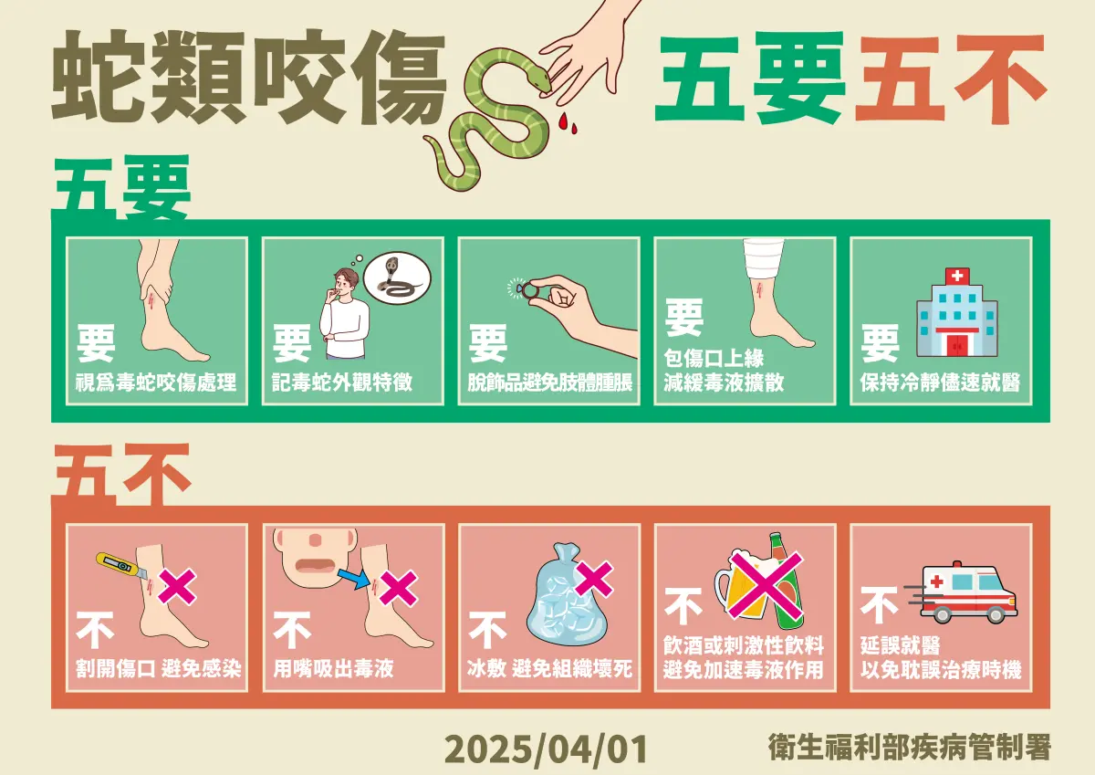 ▲清明掃墓要注意遠離毒蛇。（ 圖 /疾管署提供）