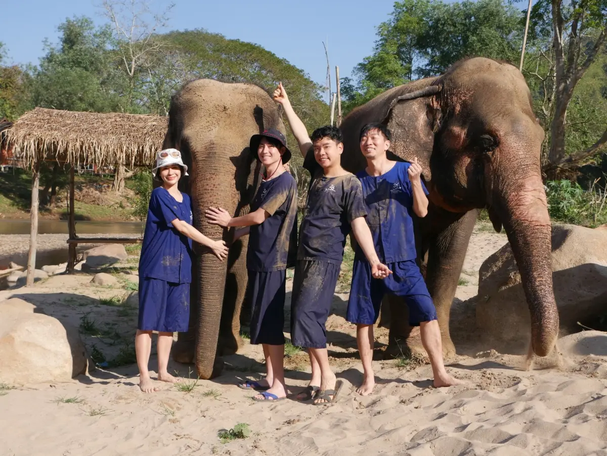 ▲雷艾美（左起）、MAX、八弟和阿傑參與「一日象伕體驗」，雷艾美原本開心期待幫大象洗澡，結果發現自己的腿腫到變形，還會刺痛，才體會到象伕有多辛勞。（圖／三立提供）