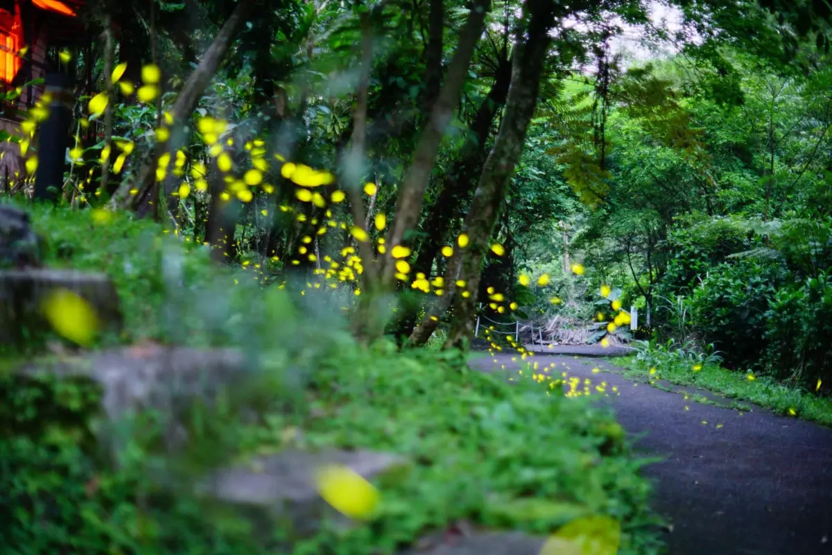 ▲兒童節連假，新北多家休閒農場推優惠。（圖／新北市農業局）
