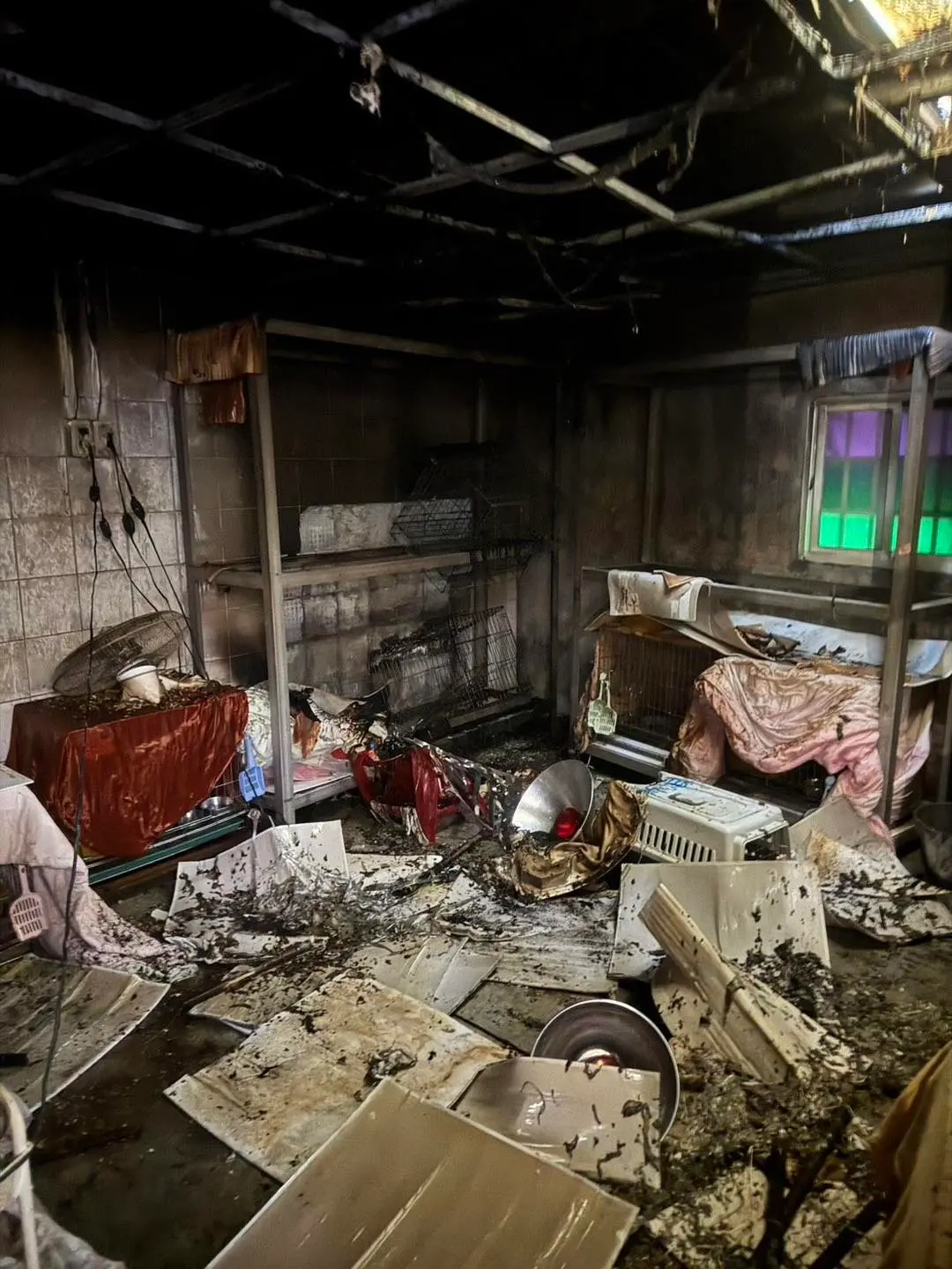 ▲新北市新店動物之家3月30日發生火災，造成貓咪1死1傷，市議員戴瑋姍要求公布監視器畫面，釐清事實真相。（圖／翻攝戴瑋姍臉書）