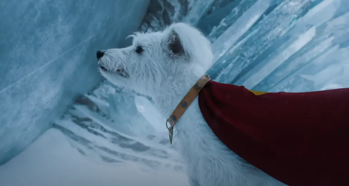 ▲電影《超人》即將在暑假上映，導演透露這次電影加入了新角色「超狗」，非常可愛，不過也揭露狗狗私下真面目，直呼：「非常糟糕。」（圖／華納兄弟提供）