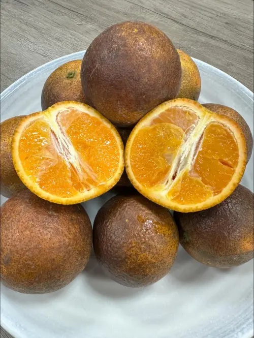 ▲（圖／取自阿慶師臉書粉專）