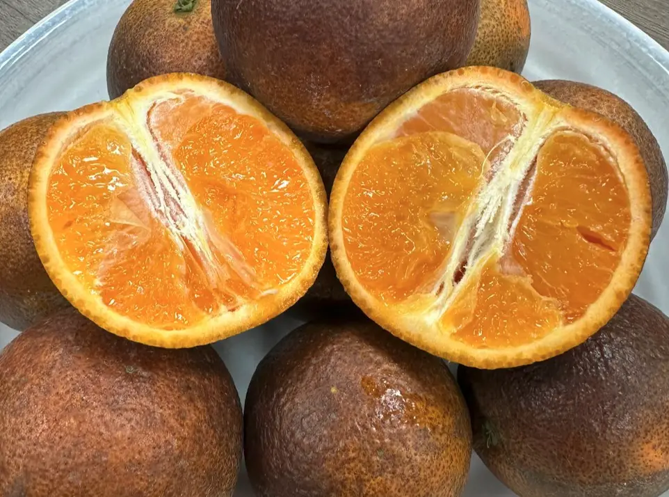 ▲台灣最年輕國宴主廚「阿慶師」分享，他收到一箱來自山區的「火燒柑」，外皮粗糙發黑，他原本以為放太久快壞掉，沒想到一口咬下驚為天人。（圖／取自阿慶師臉書粉專）