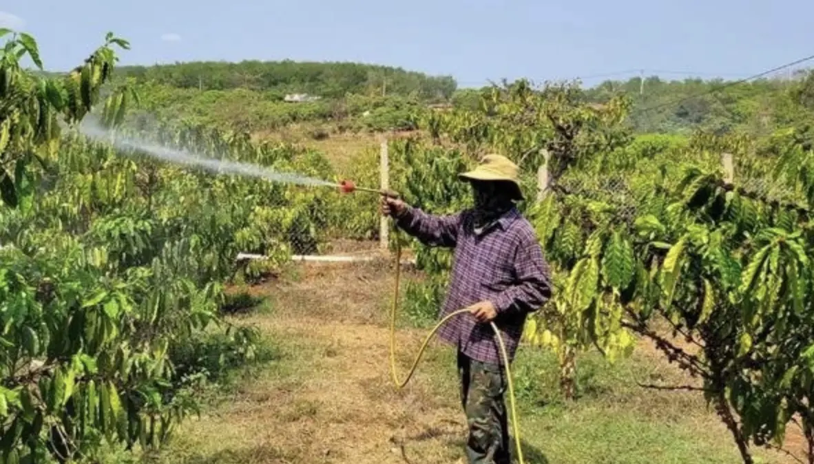 ▲遭遇波布大屠殺後，一群柬埔寨難民逃至越南邊境，建立「柬埔寨村」重生。（圖／翻攝自越通社）