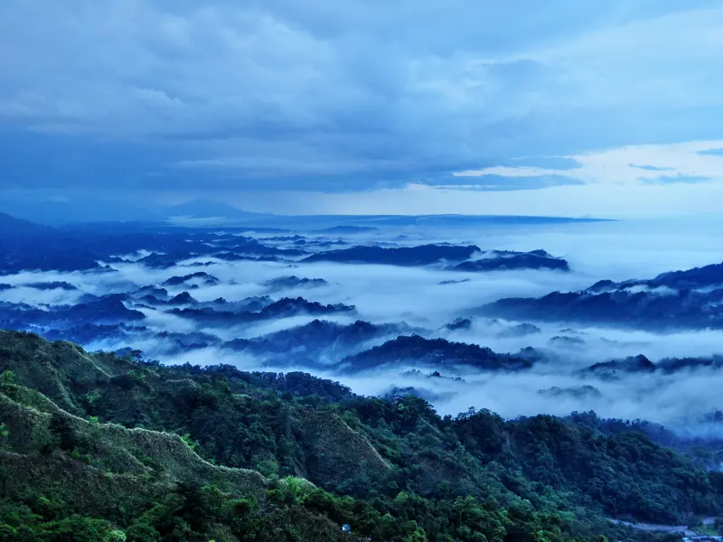 ▲大坑5號步道雲海景觀(圖／觀旅局提供2025.4.6)
