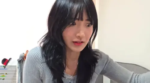 ▲企鵝妹一早開直播，標題直接寫道「WTF BANNED FROM TAIWAN？」直播中提到，自己被台灣禁止入境3年。（圖／翻攝TWITCH@Jinnytty）