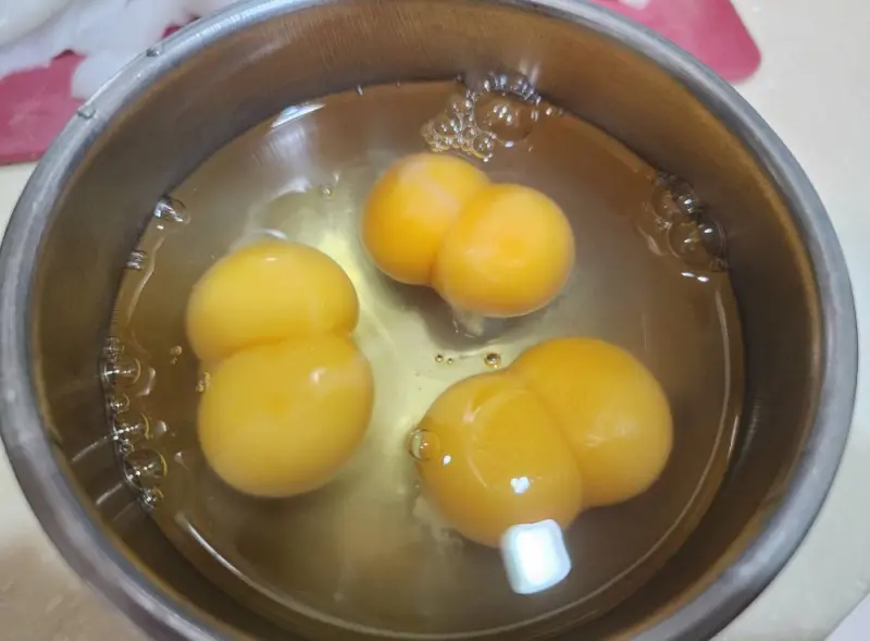 ▲全聯雞蛋發生一盒9顆蛋全是雙蛋黃的奇景，讓民眾感到相當震驚，農業部過去就曾公布發生原因。（圖／我愛全聯-好物老實説臉書）