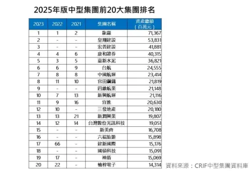 ▲2025年中型集團前20大集團排名。（圖／中華徵信所提供）