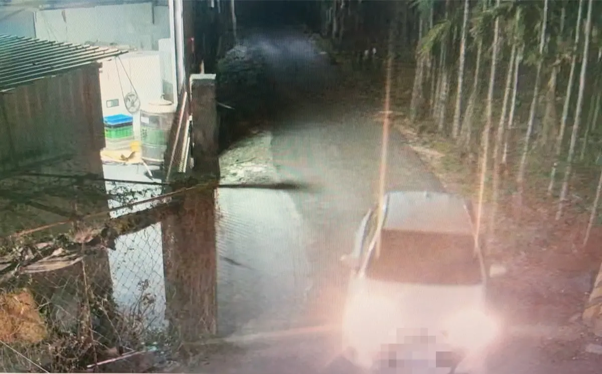 ▲屏東長治鄉象龜繁殖場內，有30隻象龜遭竊，每隻失竊象龜重達2.30公斤，警方逮捕涉嫌行竊的劉男等8名嫌犯到案。（圖／警方提供）