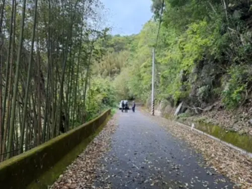 哈凱部落族人通報兩起目擊台灣黑熊紀錄,其中一人騎車返家時,聽到上邊坡有聲響,隨即看到一隻黑熊自高度約1.5公尺高的護欄跳下。(圖/林業及自然保育署新竹分署) ▲哈凱部落族人通報兩起目擊台灣黑熊紀錄,其中一人騎車返家時,聽到上邊坡有聲響,隨即看到一隻黑熊自高度約1.5公尺高的護欄跳下。(圖/林業及自然保育署新竹分署)