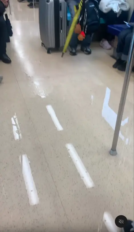 ▲北捷車廂積水(圖/網友@henhenjack0609授權引用) ▲北捷車廂積水(圖/網友@henhenjack0609授權引用)