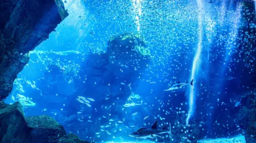 桃園Xpark水族館行程除了高鐵來回車票+門票,再安排參觀台灣高鐵探索館(圖片由台灣橫浜八景島提供) ▲桃園Xpark水族館行程除了高鐵來回車票+門票,再安排參觀台灣高鐵探索館(圖/台灣橫浜八景島提供)