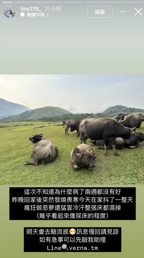 ▲胎尼透露，已經生病數日情況都不見好轉，甚至會發高燒、狂冒冷汗。（圖／胎尼 IG）