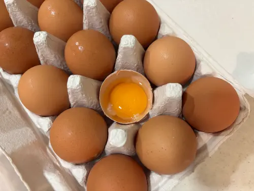 雞蛋需求增！蛋價本週漲2元　批發價46元、產地價8/27漲至36.5元
