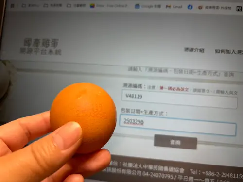▲記者家中雞蛋是「B」,也就是蛋雞在室內平面飼養的「平飼生產」蛋。(圖/記者徐銘穗攝) ▲記者家中雞蛋是「B」,也就是蛋雞在室內平面飼養的「平飼生產」蛋。(圖/記者徐銘穗攝)