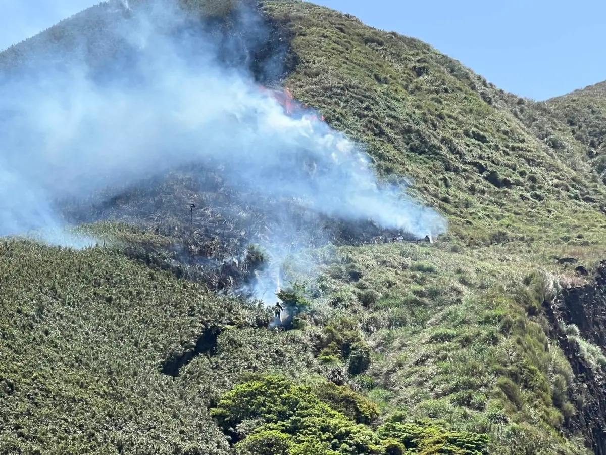 ▲陽明山國家公園上午發生火燒山，北市消防局緊急向空勤總隊求救援，盡快控制火勢。（圖／台北市消防局提供）