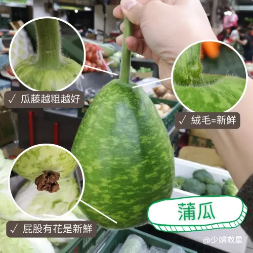 ▲挑選蒲瓜需要注意藤的粗度、腰身曲線、尾端花色，以及表面是否有絨毛。（圖／廖炯程提供）