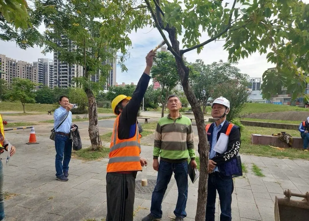 ▲行道樹移植前由樹木專業學者現勘指導。（圖／高市府捷運局提供）