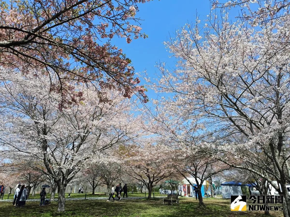 新台幣升值「出國玩變便宜了」 旅行業揭景氣才是關鍵