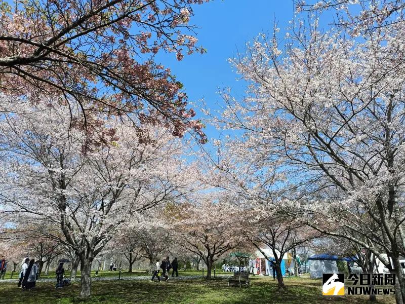 新台幣升值「出國玩變便宜了」　旅行業揭景氣才是關鍵