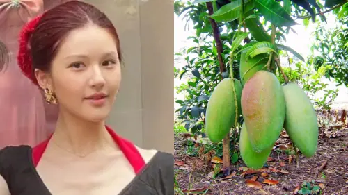 ▲趙露思被網友虧整過頭，就像是一顆「行走的芒果」。（圖／翻攝自微博、維基百科）