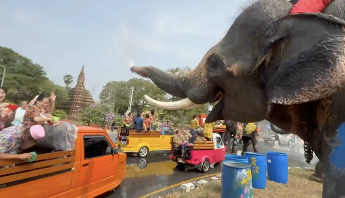 ▲泰國古城「大城（Ayutthaya）」出動大象歡慶潑水節。（圖／翻攝自影片）