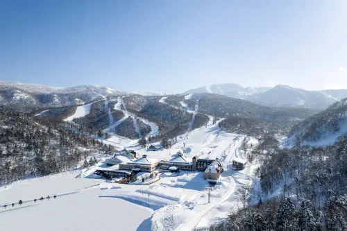 台人衝北海道翻2倍!星宇X星野2026滑雪專機4/30開賣:最多折5千 ▲全包式假期Club Med也推薦限時超早鳥優惠,5月31日前預訂「最高可享6折優惠」。(圖/Club Med提供)